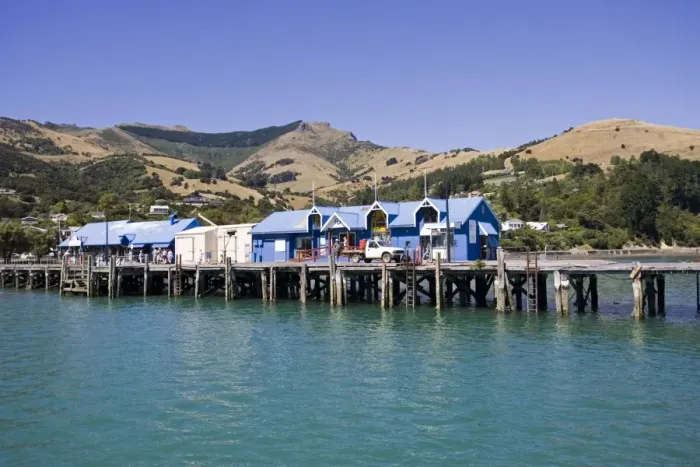 Framed Print : Pier in Akaroa harbour with office of Akaroa Dolphins. Banks Peninsula - New Zealand