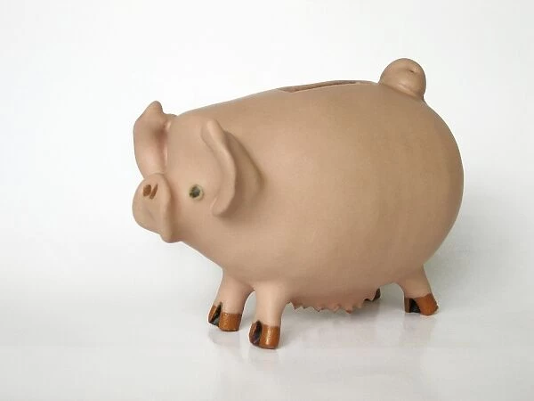 Pig - ceramic moneybox