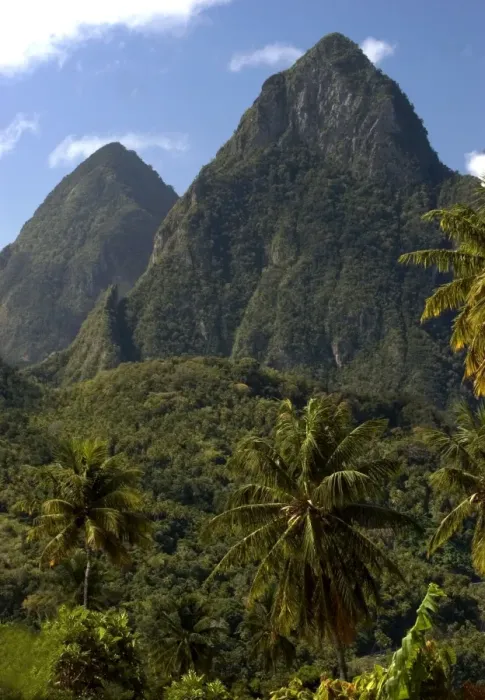 Framed Print : The Pitons Mountains. The Island of St. Lucia is very green with coconut palms widely scattered. The central region is dense rainforest. February Framed Print : The Pitons Mountains. The Island of St. Lucia is very green with coconut palms widely scattered. The central region is dense rainforest. February