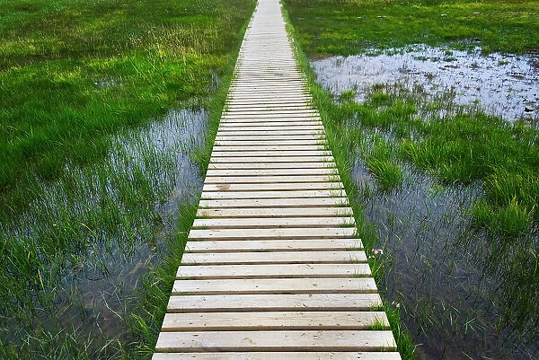 A plank pathway in Landmannalaugar, Iceland Date: 21-07-2017