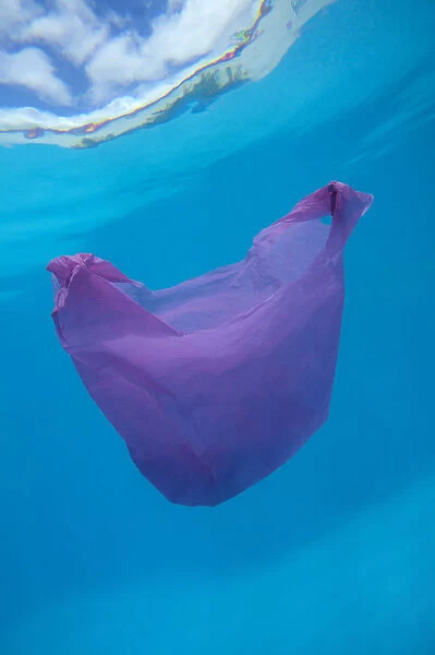 Plastic bag driffting in the ocean. Plastic bags