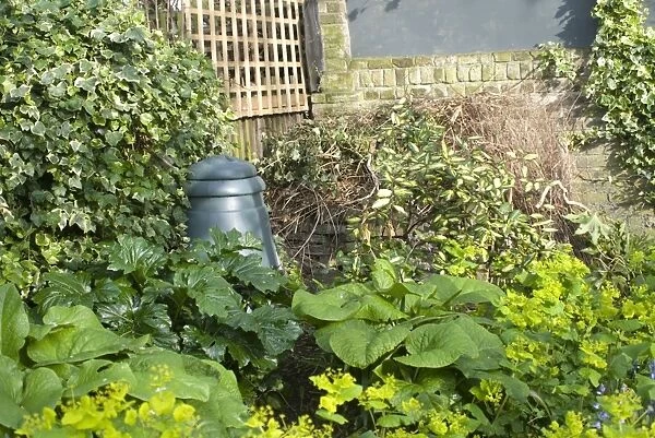 Plastic Compost Bin in garden corner - UK