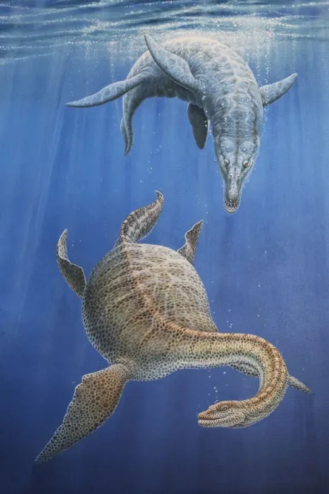 Framed Print : Pliosaur hunting a Plesiosaur Framed Print : Pliosaur hunting a Plesiosaur