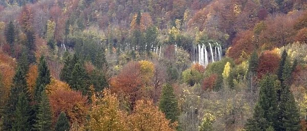 Plitvice National Park, Croatia. Series of lakes in valley, separated by travertine (tufa) dams: cascades over one of the dams, amidst fabulous autumn colour