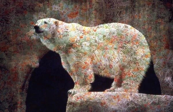 Polar Bear - overlayed with orange flowers