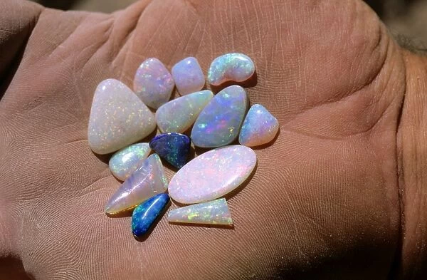 Polished opal held in palm of hand Coober Pedy, South Australia JLR05496