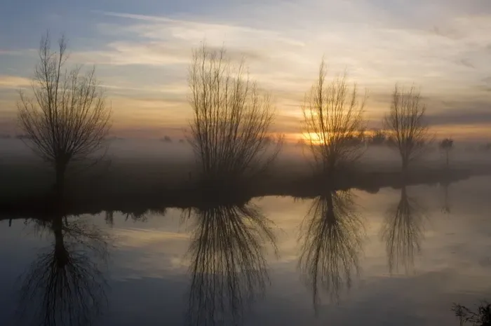Framed Print : Pollard Willow - Alongside river at sunset - Winter - The Netherlands, Overijssel, Staphorst Framed Print : Pollard Willow - Alongside river at sunset - Winter - The Netherlands, Overijssel, Staphorst