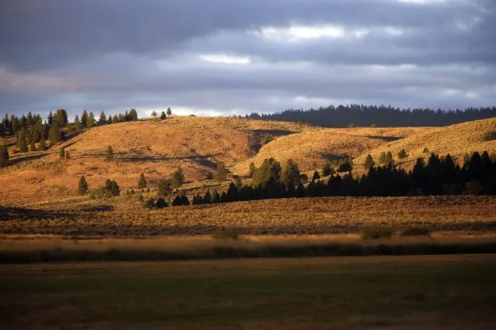 Framed Print : Ponderosa Ranch - Seneca - Oregon - USA Framed Print : Ponderosa Ranch - Seneca - Oregon - USA