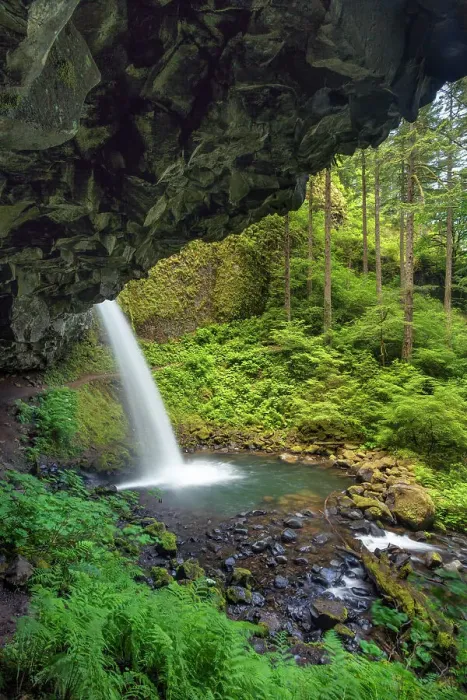 Framed Print : Ponytail Falls, Columbia River Gorge, Oregon Date: 17-06-2013 Framed Print : Ponytail Falls, Columbia River Gorge, Oregon Date: 17-06-2013