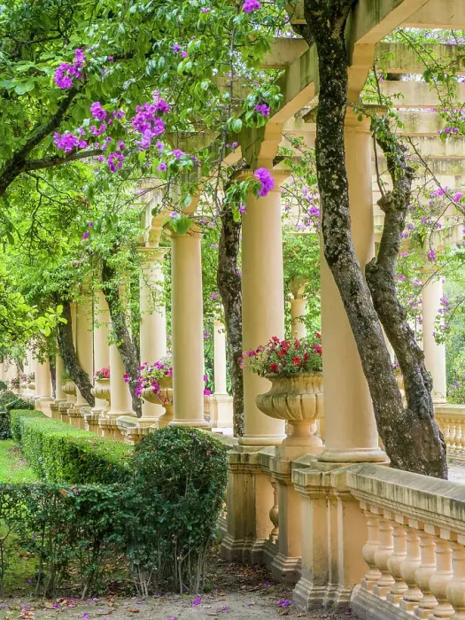 Framed Print : Portugal, Aveiro. Parque Dom Pedro Infante in Aveiro. Stone balustrade with pergola and columns. Date: 12-07-2019 Framed Print : Portugal, Aveiro. Parque Dom Pedro Infante in Aveiro. Stone balustrade with pergola and columns. Date: 12-07-2019