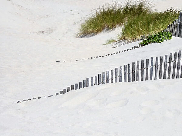 Portugal, Costa Nova. Beach grass, sand and old fence line at the beach resort of Costa Nova near Aveiro. Date: 11-07-2019