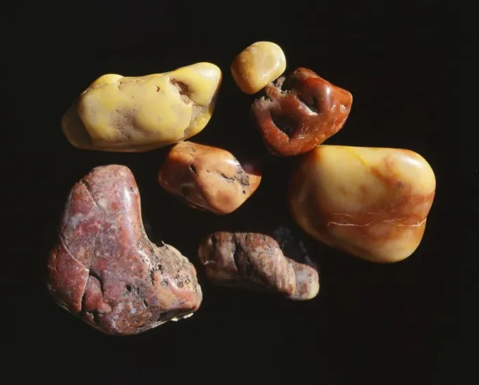 Framed Print : Prehistoric Dinosaur Gastroliths Gizzard stones, collected on the Morrison formation in Colorado, USA Framed Print : Prehistoric Dinosaur Gastroliths Gizzard stones, collected on the Morrison formation in Colorado, USA