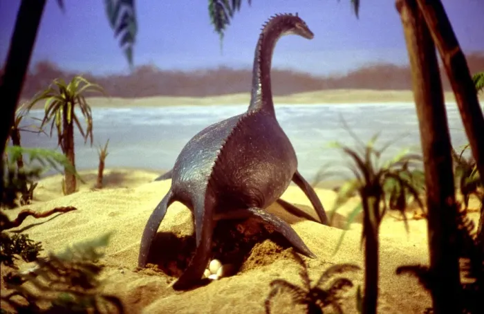 Framed Print : Prehistoric Reconstruction - Plesiosaur Laying eggs, C. Oxoniensis Late Jurassic Framed Print : Prehistoric Reconstruction - Plesiosaur Laying eggs, C. Oxoniensis Late Jurassic