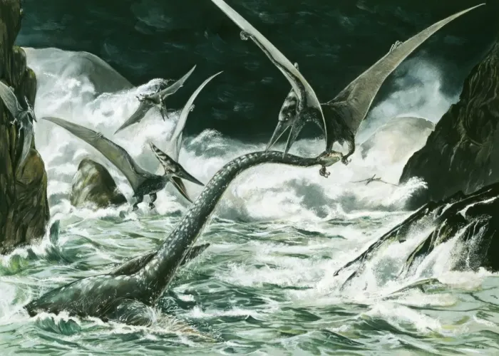 Framed Print : Prehistoric Reconstruction - Pteranodon & Winged Prerosauros (Cretaceous 114 million years ago) fighting with a Elasmosaurus a marine reptile (late Cretaceous) total length 46 ft Framed Print : Prehistoric Reconstruction - Pteranodon & Winged Prerosauros (Cretaceous 114 million years ago) fighting with a Elasmosaurus a marine reptile (late Cretaceous) total length 46 ft
