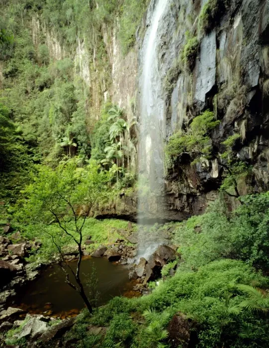 Framed Print : Protesters Falls Terania Creek, Nightcap National Park, New South Wales, Australia JPF32183 Framed Print : Protesters Falls Terania Creek, Nightcap National Park, New South Wales, Australia JPF32183