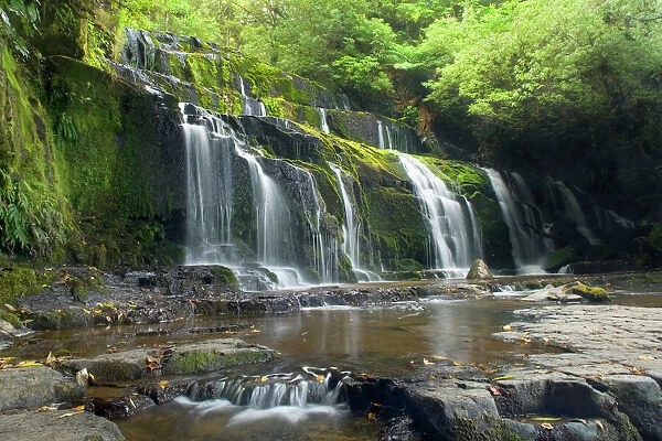 Purakaunui Falls beautiful waterfall within dense temperate rainforest Catlins, Southland, South Island, New Zealand