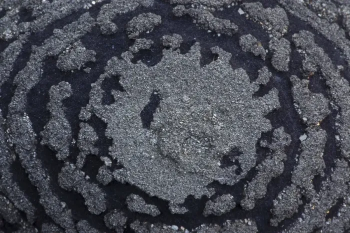Framed Print : Pyrite on Shale Concretion - Yunnan China Framed Print : Pyrite on Shale Concretion - Yunnan China