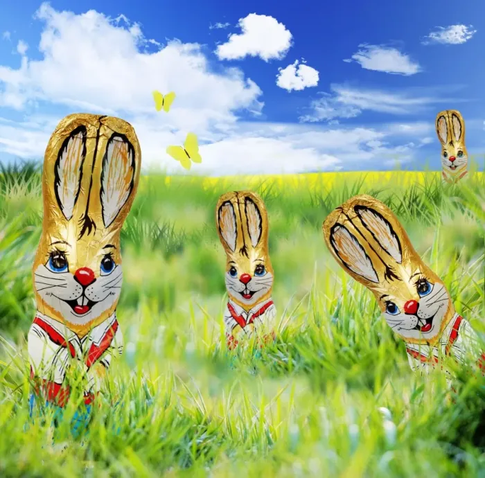 Framed Print : Rabbit - foil covererd chocolate easter rabbit in meadow scene Digital Manipulation: Grass from FEU-241. Rabbit (Su). Sky, yellow field, butterflies all created Framed Print : Rabbit - foil covererd chocolate easter rabbit in meadow scene Digital Manipulation: Grass from FEU-241. Rabbit (Su). Sky, yellow field, butterflies all created
