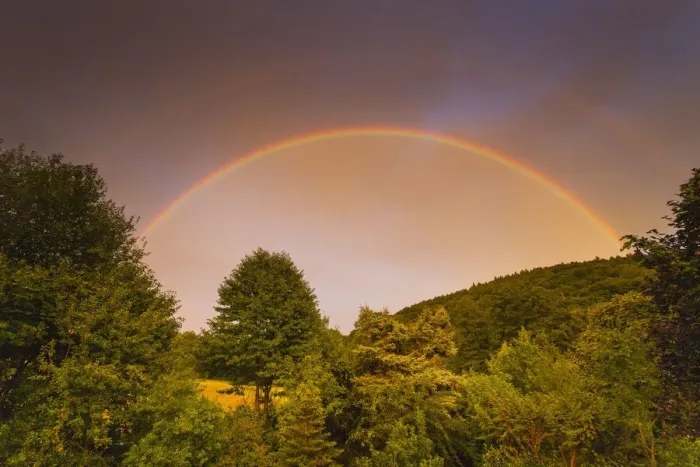 Framed Print : Rainbow, appearing in double form over woodland, , Lower Saxony, Germany Framed Print : Rainbow, appearing in double form over woodland, , Lower Saxony, Germany