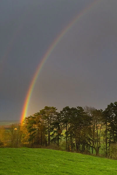 Rainbow, appearing over woodland, Lower Saxony, Germany
