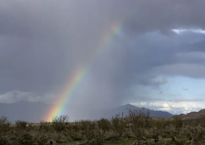 Framed Print : Rainbow in the desert; el nino year Framed Print : Rainbow in the desert; el nino year
