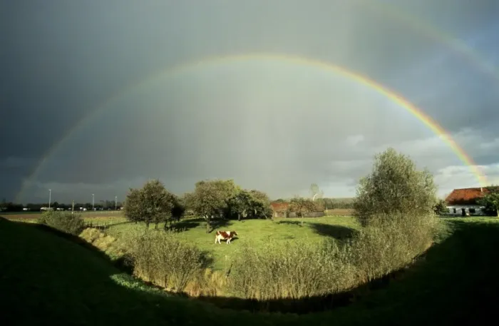 Framed Print : Rainbow over field with cow Manipulated image - removed shadow of photographer in foreground Framed Print : Rainbow over field with cow Manipulated image - removed shadow of photographer in foreground