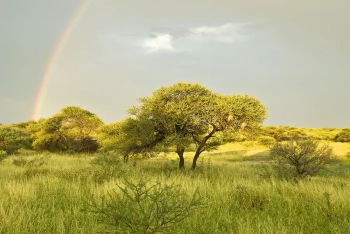 Framed Print : Rainbow - In Kalahari - Botswana Framed Print : Rainbow - In Kalahari - Botswana