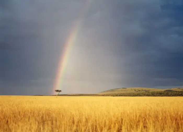 Framed Print : Rainbow Kenya, Africa Framed Print : Rainbow Kenya, Africa
