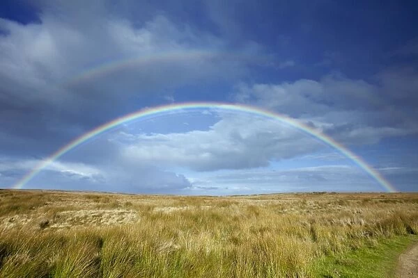 Rainbow - over moorland - Allendale Fells - Northumberland - England