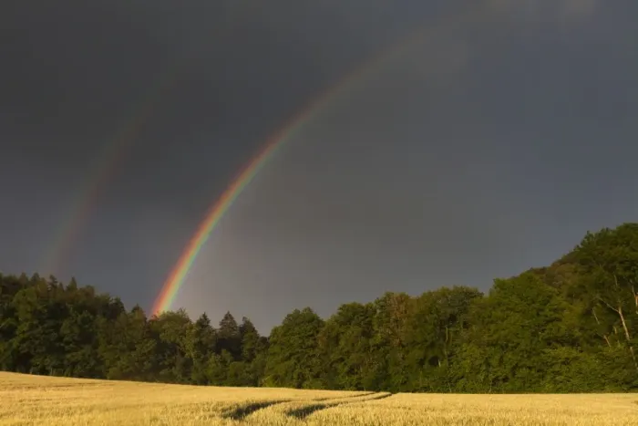Framed Print : Rainbow - over ripening cornfield - Lower Saxony - Germany Framed Print : Rainbow - over ripening cornfield - Lower Saxony - Germany