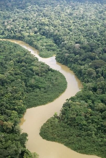 Rainforest - Aerial view of White water river in Amazon