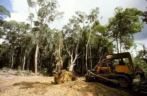 Rainforest cleared for private use (housing) - Kuranda Range, North Queensland, Australia JPF24360