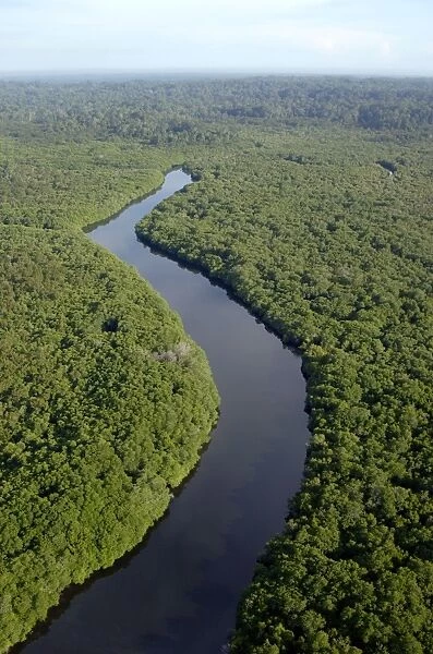 Rainforest and a river near Sekong Bay, near Sandakan; helicopter view; Sabah, Borneo, Malaysia; morning in June. Ma39. 3100