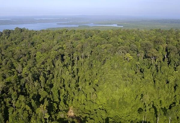 Rainforest and Sekong Bay near Sandakan; helicopter view; Sabah, Borneo, Malaysia; morning in June. Ma39. 3094