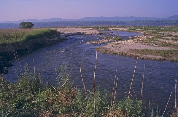 Ramganga river, Corbett National Park, India