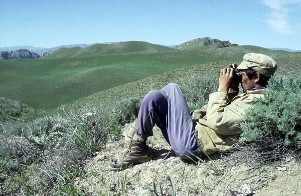 Ranger with binoculars - watching for Kopet Dag Arkal sheep