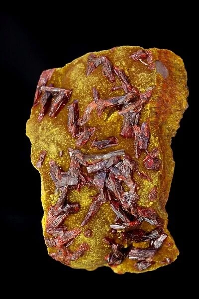 Realgar AsS - Arsenic sulfide (red) on orpiment As2S3 Arsenic tri sulfide -(yellow) - Palomo mine - Huancavelica department - Peru - Both are ores of arsenic