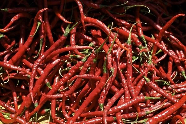 Red chilli - Tomohon Market - N. Sulawesi - Minahasa highlands - Indonesia
