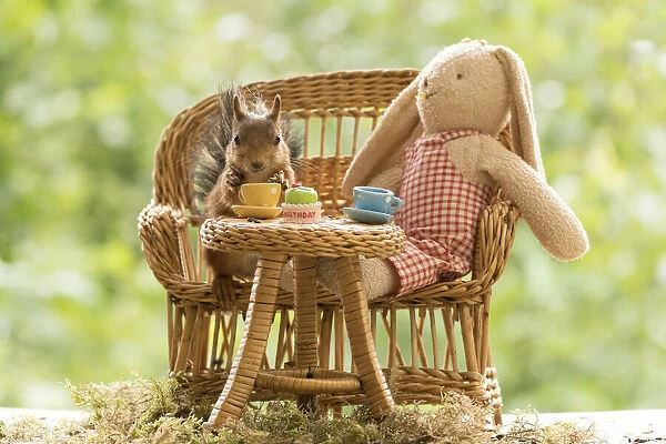 Red Squirrel and doll with a table and cups