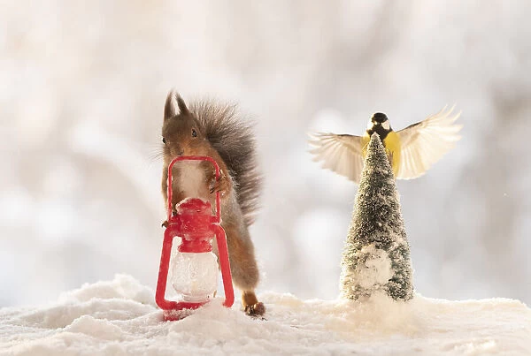 Red squirrel holding a lantern with bird in flied