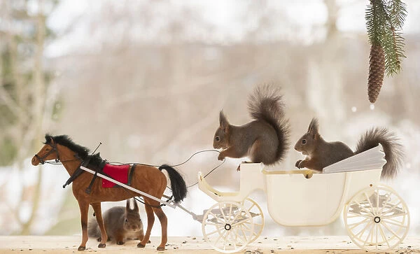 Red Squirrel with an horse and a carriage