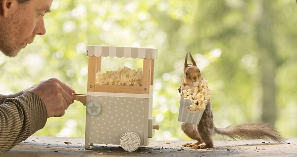 Red Squirrel and man with an popcorn machine
