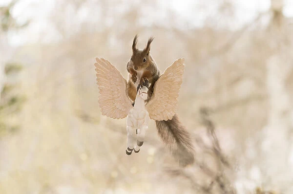 Red Squirrel sitting on a flying horse Date: 11-05-2021