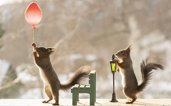 red squirrel is standing with balloon, a bench and lantern