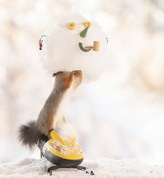 Red squirrel standing inside an snowman mask on a snowmobile
