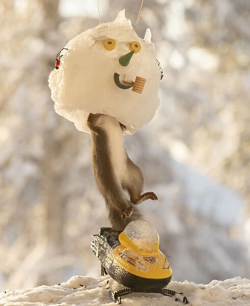 Red squirrel standing inside an snowman mask on snowmobile