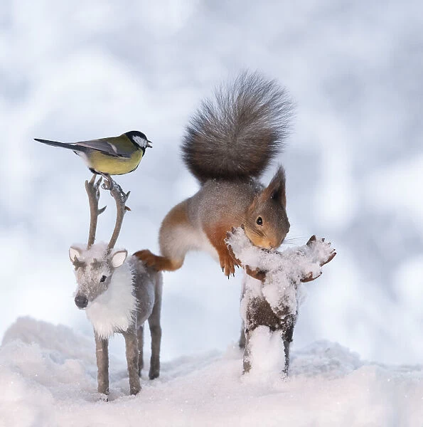 Red squirrel and titmouse are standing on a moose and reindeer Date: 13-01-2021