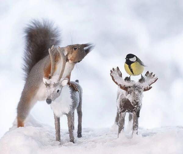 Red squirrel and titmouse standing on an moose and reindeer