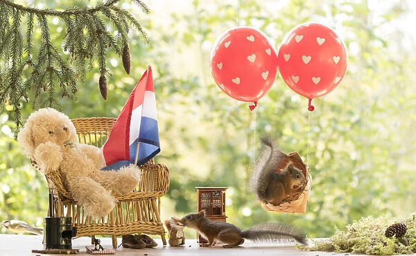 Red Squirrels in a balloon and with a bear on a bench