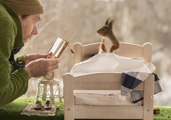 Red Squirrels on a bed man holding a book